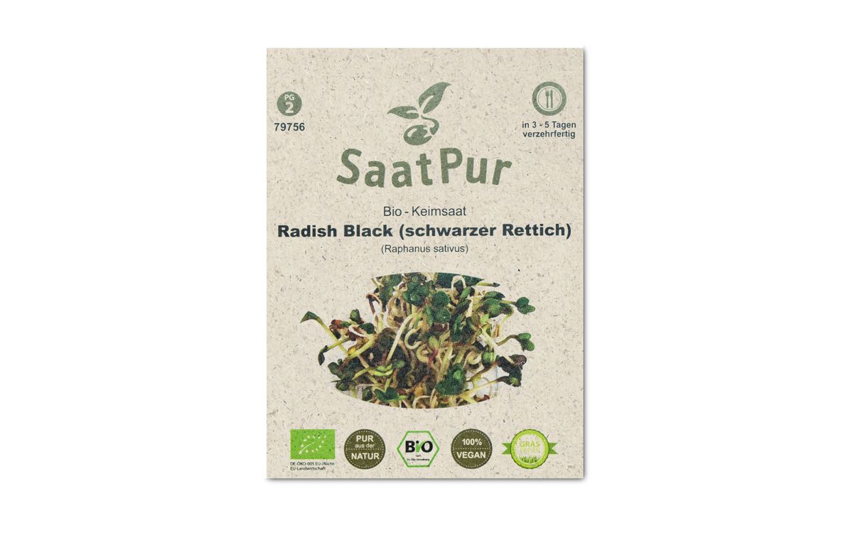 BIO-Keimsprossen Radish Black