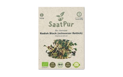 BIO-Keimsprossen Radish Black
