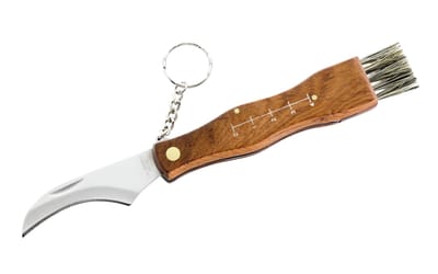 Pilzmesser mit Bürste
