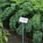 Standschild "Typ 1" - Schild komplett
