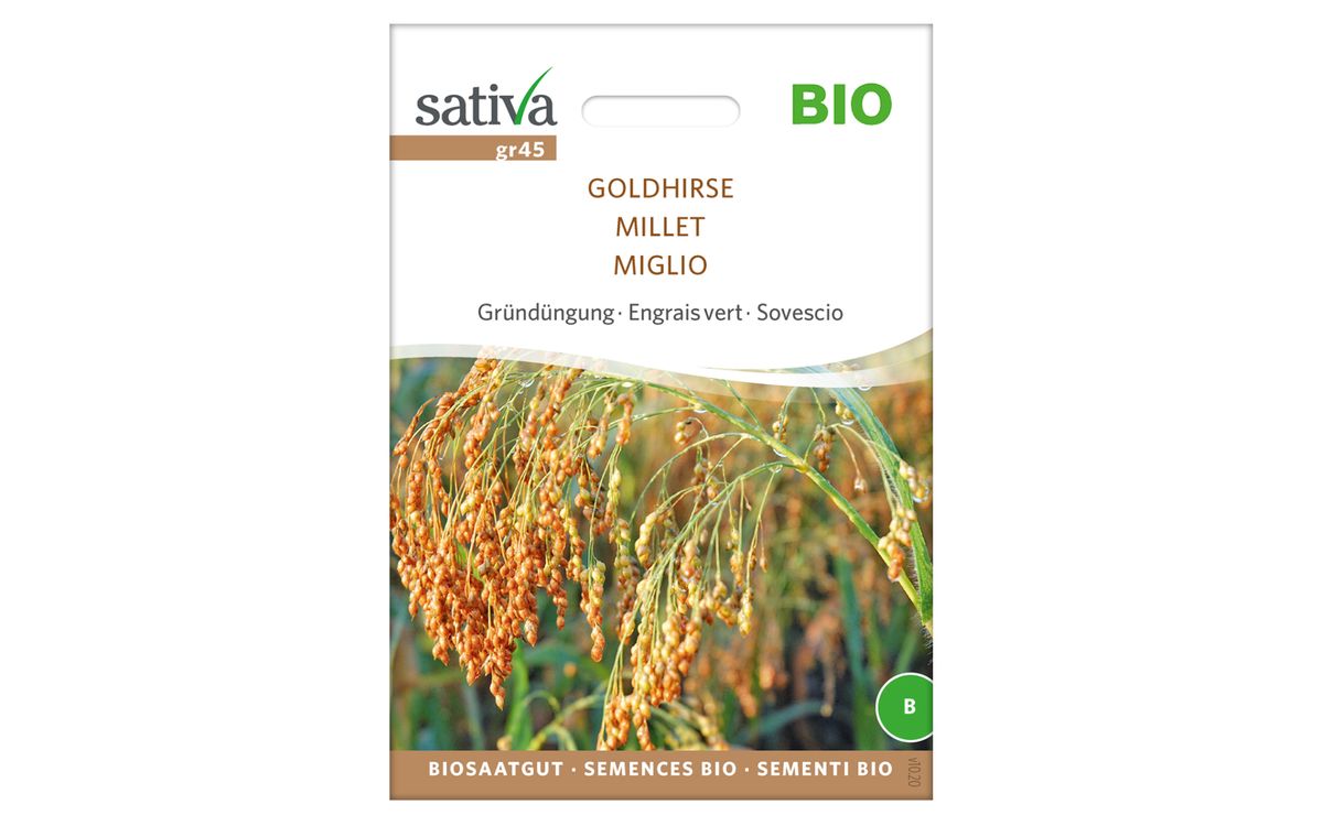 Goldhirse