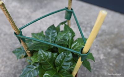 Gro Triangle - 1 Stück