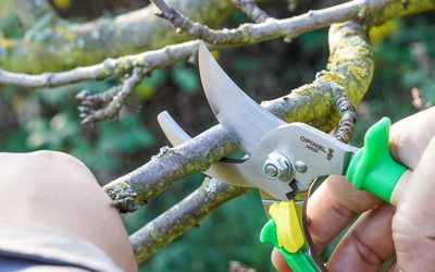 Opinel Gartenschere
