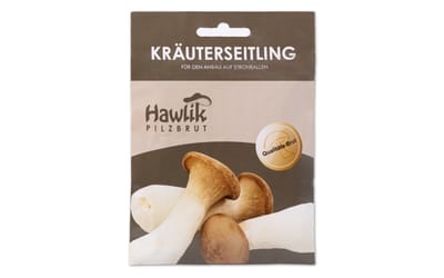 Kräuterseitling - Dübel