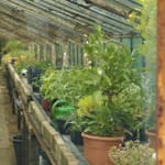 Für den Garten