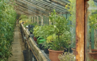 Für den Garten