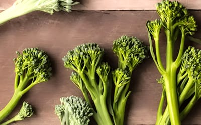 Cima di Rapa Sessantina