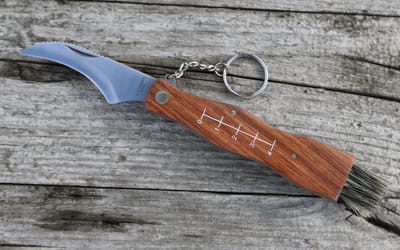 Pilzmesser mit Bürste