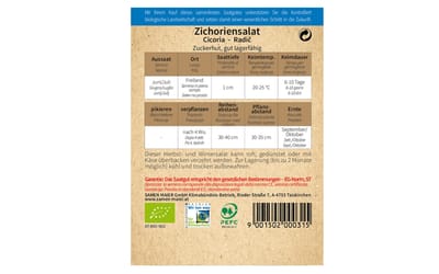 Zichoriensalat Zuckerhut