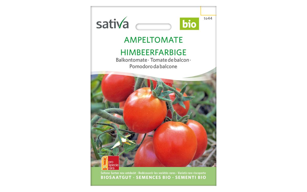 Ampeltomate Himbeerfarbige