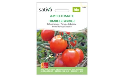 Ampeltomate Himbeerfarbige