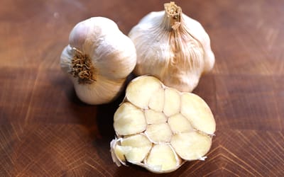 Knoblauch Polish Softneck