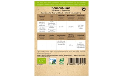 Sonnenblume Bambino