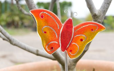 Glasschmetterling mit Stab