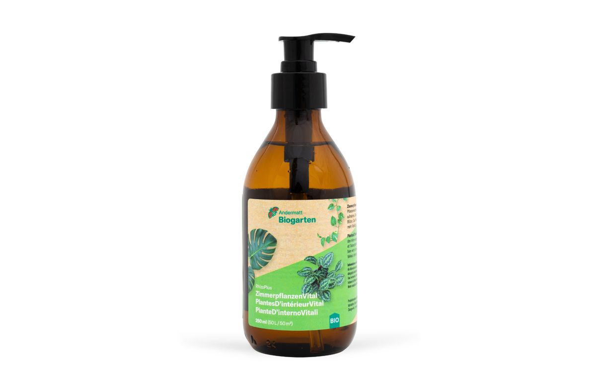 RhizoPlus ZimmerpflanzenVital
