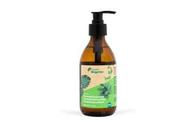 RhizoPlus ZimmerpflanzenVital