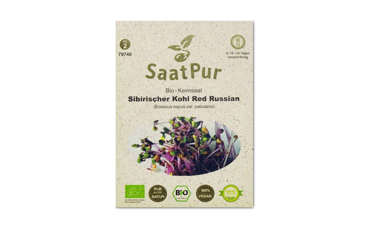 BIO-Keimsprossen Kale Red Russian