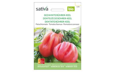 Gezahnte Bührer-Keel