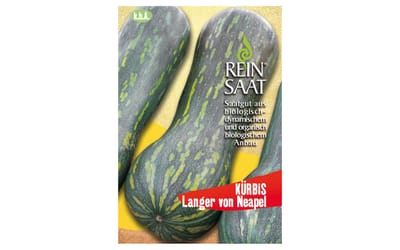 Langer von Neapel