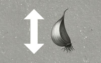 Wie tief sollte man Knoblauch stecken?