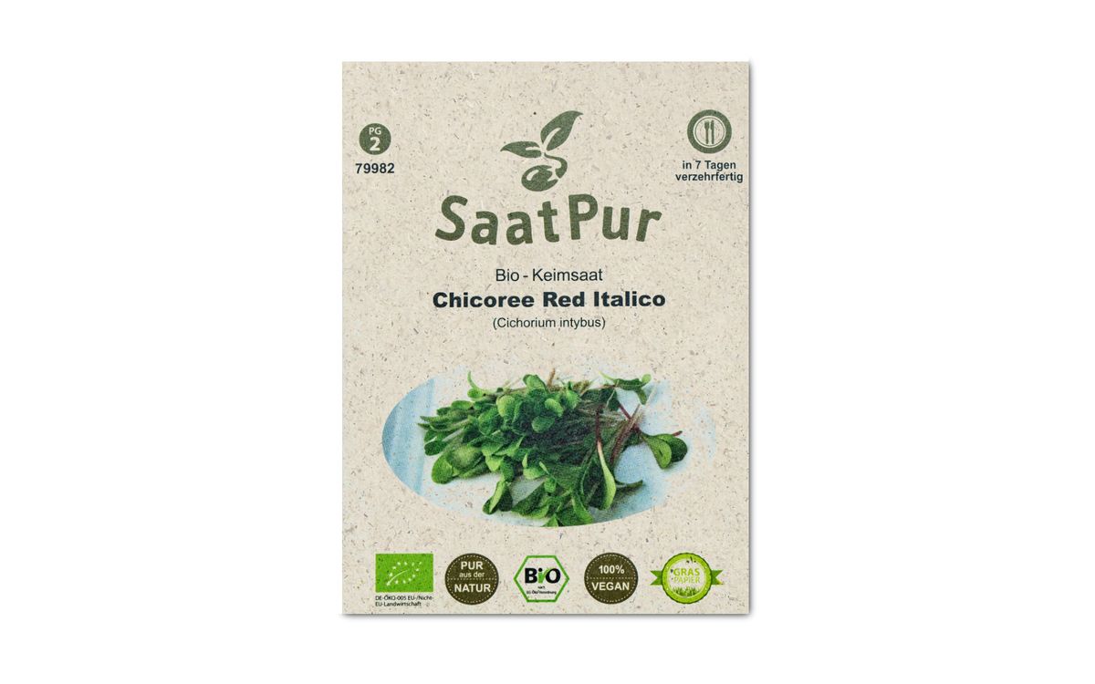 BIO-Keimsprossen Chicory Italiko Red
