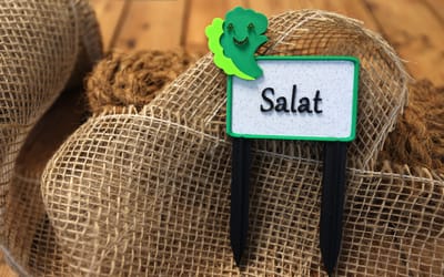 Gemüseschild Salat