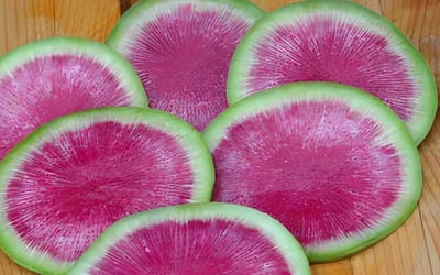 Wassermelonen-Rettich