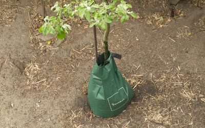 Premium Bewässerungs­beutel 75 l - 1 Stück