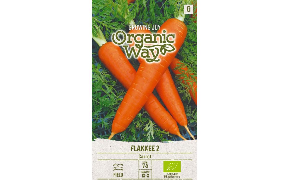 Wintermöhre Flakkee 2