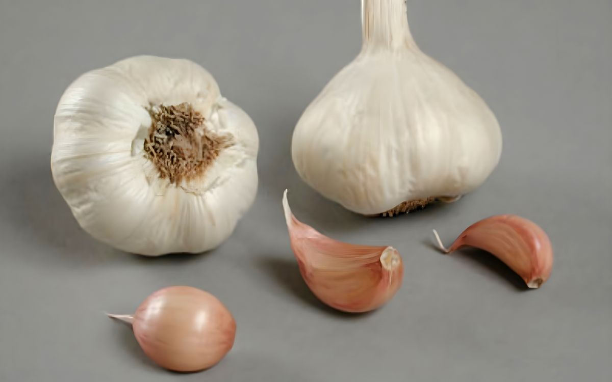 Knoblauch Flavor