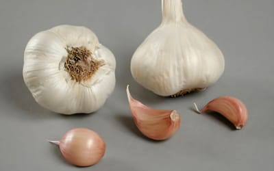 Knoblauch Flavor