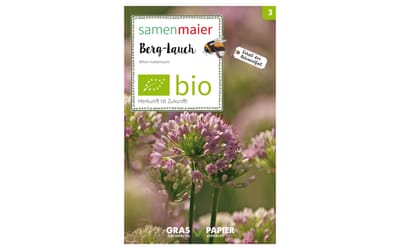 Berg-Lauch