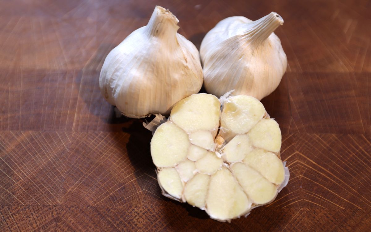 Knoblauch Sabagold