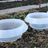 Schneckenkragen - Kunststoff - 12er Pack - Transparent