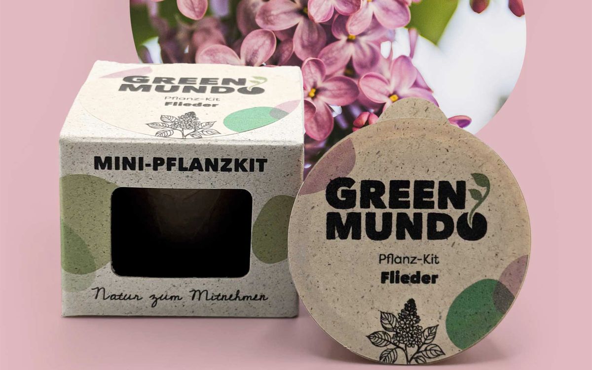 Pflanz-Kit Flieder