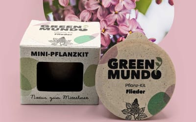 Pflanz-Kit Flieder