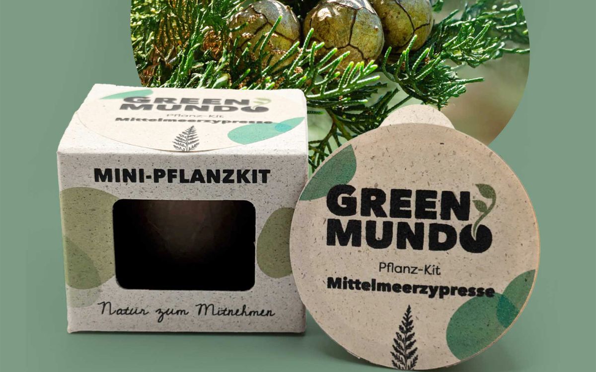 Pflanz-Kit Mittelmeerzypresse