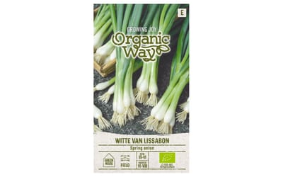 Spring Witte van Lissabon