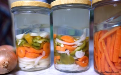 Steffis Fermentier-Set