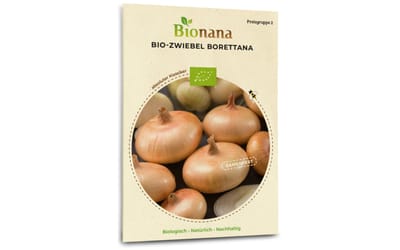 Borettana