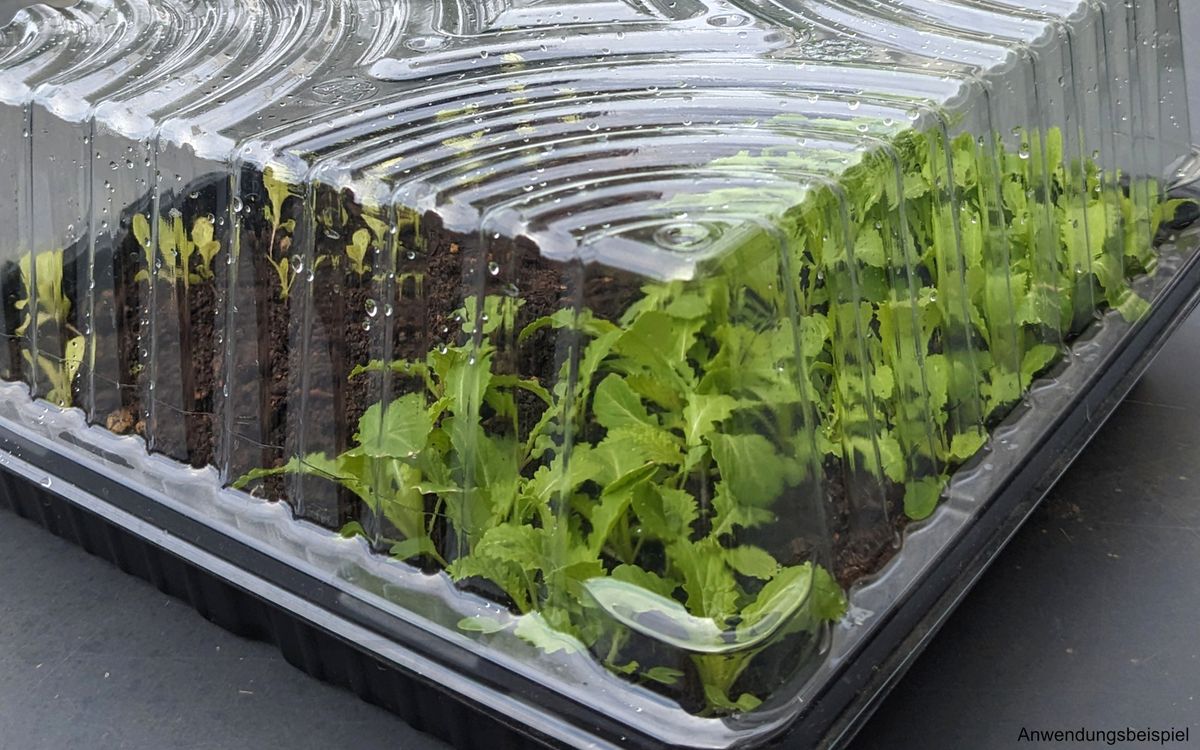 Keimschale für Jungpflanzen und Microgreens - Abdeckhaube für Keimschale
