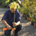 Vorschaubild 6