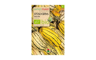 Speisekürbis Bush Delicata