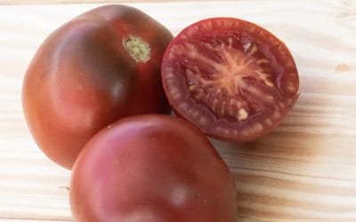 Tomate Black Ethiopian