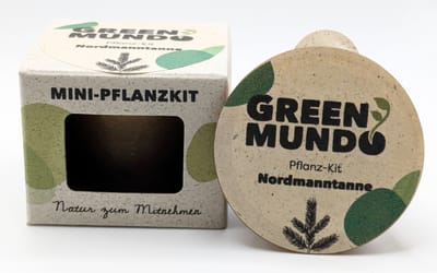 Pflanz-Kit Nordmanntanne