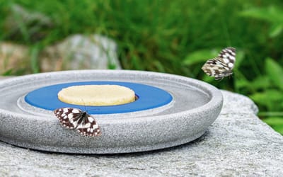 Insektenstation