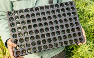 Multi-Topfplatte QuickPot QP 104