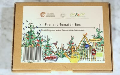 Freiland-Tomaten-Box