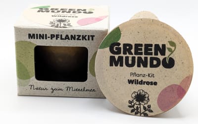 Pflanz-Kit Wildrose