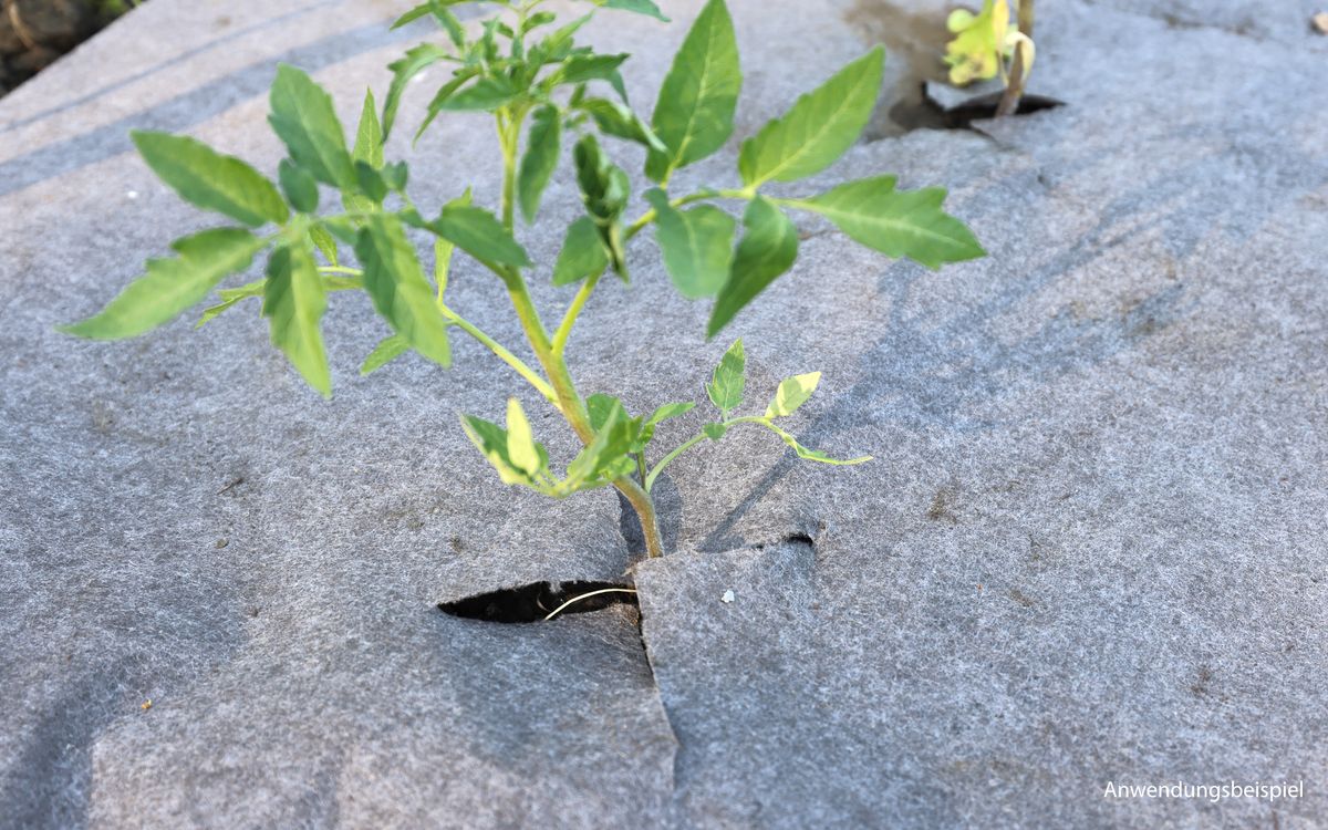 Mulch- und Unkrautvlies (7 m)